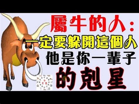 屬牛三合貴人|什麼是三合，什麼是六合